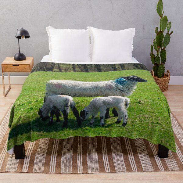 Item preview, Swaledale Sheep with Lambs designed and sold by Alisonchambers2.
