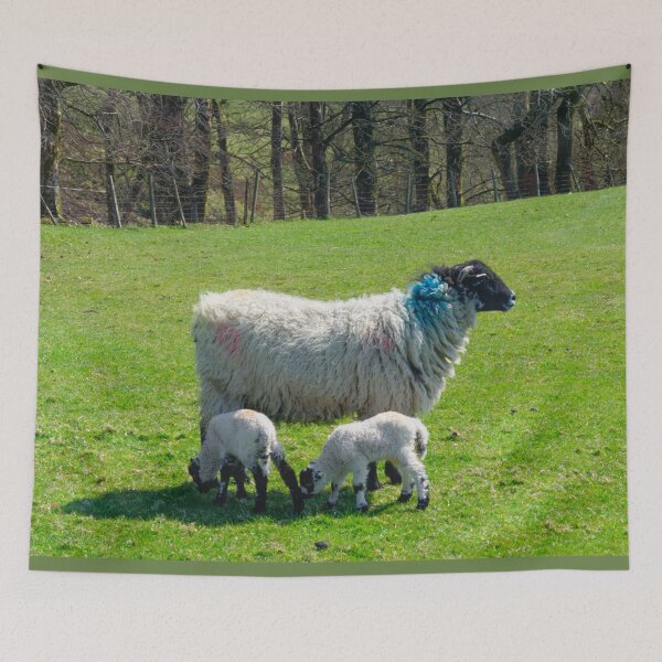 Item preview, Swaledale Sheep with Lambs designed and sold by Alisonchambers2.