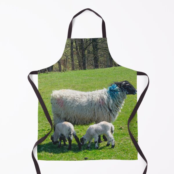 Item preview, Swaledale Sheep with Lambs designed and sold by Alisonchambers2.
