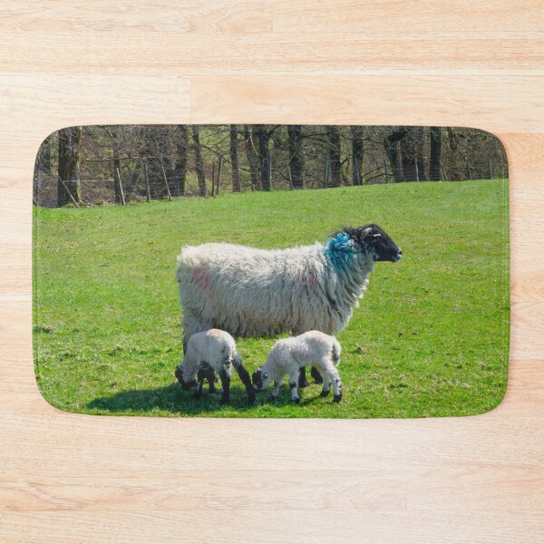 Item preview, Swaledale Sheep with Lambs designed and sold by Alisonchambers2.