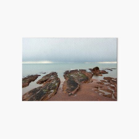 Dawlish Shore Art Board Print