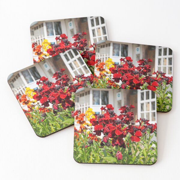 Item preview, Wallflowers designed and sold by JEZ22.