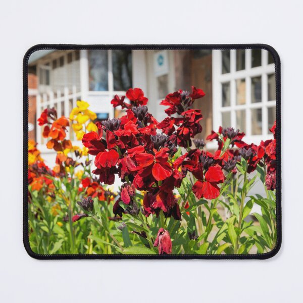 Item preview, Wallflowers designed and sold by JEZ22.