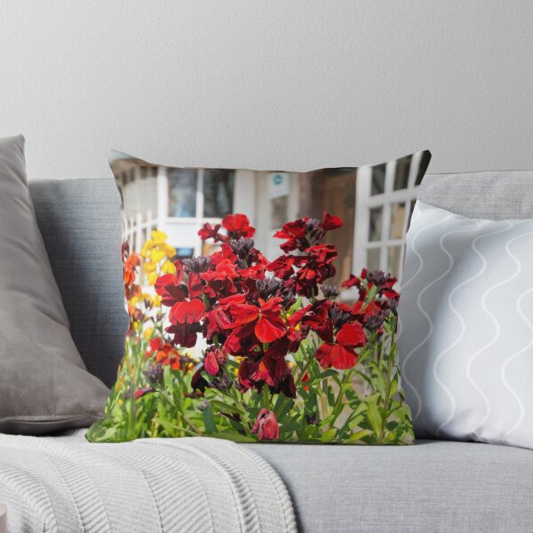 Item preview, Wallflowers designed and sold by JEZ22.
