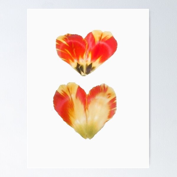 Item preview, Hearts tulip designed and sold by Academic Art Studio.
