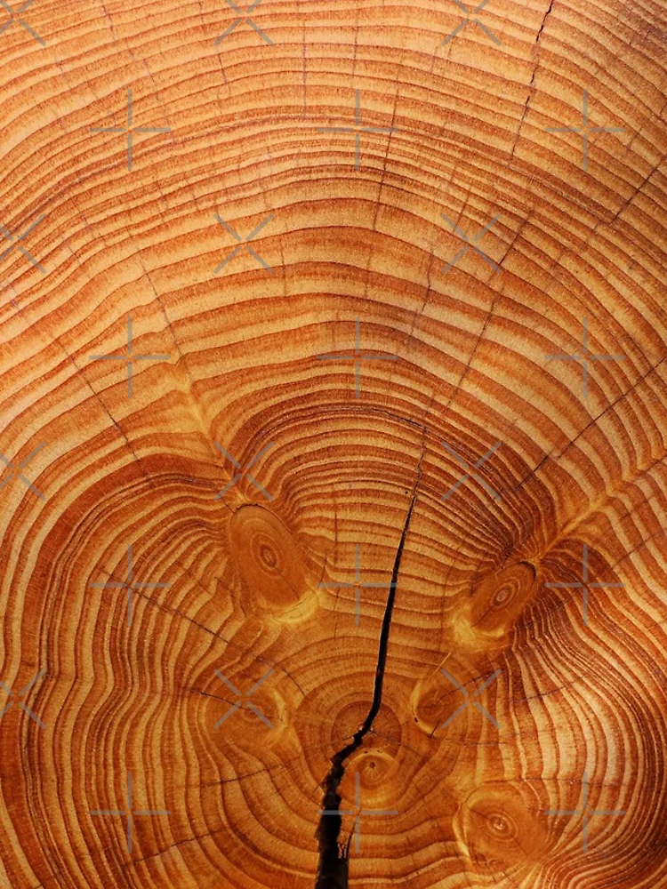 Thumbnail 4 of 4, iPhone Case, Growth Rings designed and sold by ColorfulCortex.