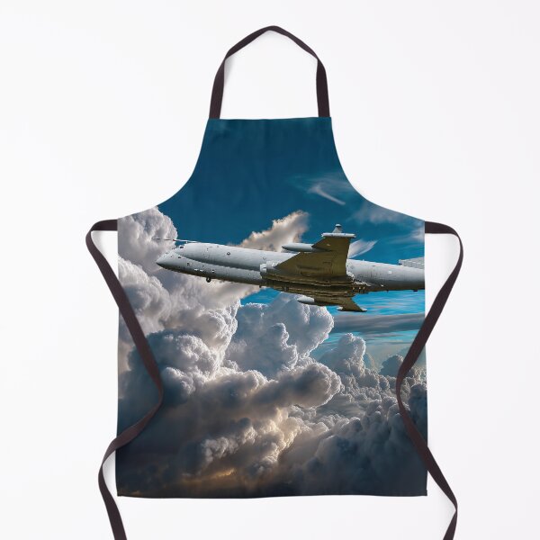 Item preview, Hawker Siddeley Nimrod designed and sold by Skyframe Aviation.