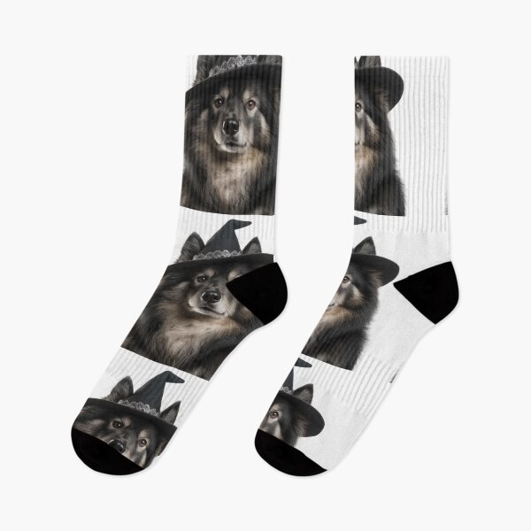 Item preview, Finnish Lapphund Dog Wearing Halloween Witch Hat designed and sold by LazyOwlStore.