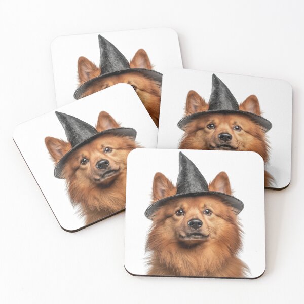 Item preview, Finnish Spitz Dog Wearing Halloween Witch Hat designed and sold by LazyOwlStore.