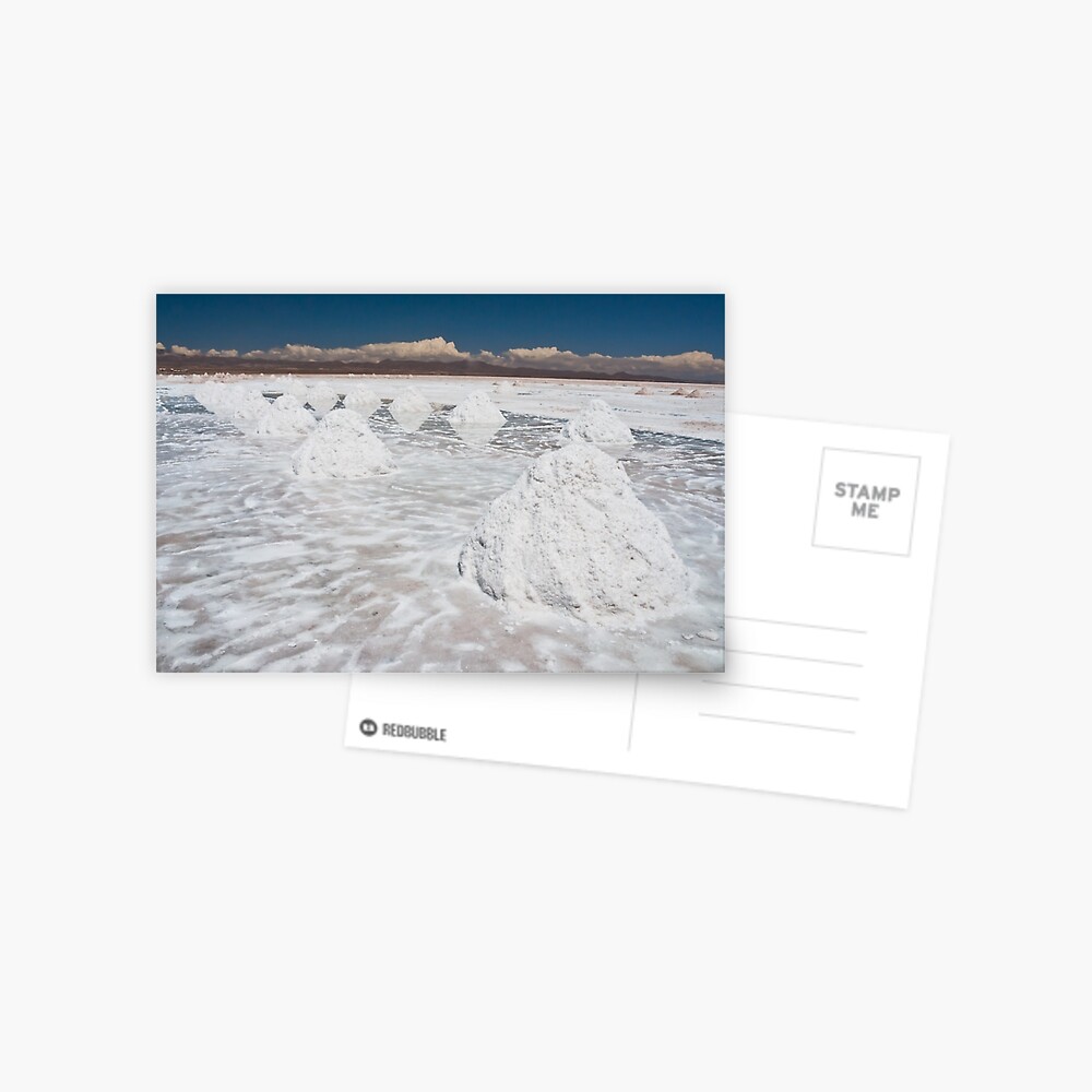 Untitled Postcard