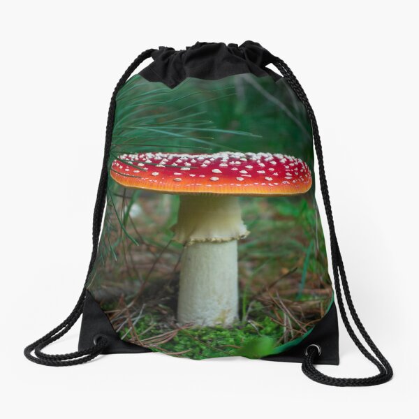 burton mushroom backpack