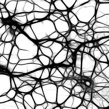 Artwork thumbnail, Neural Network by ColorfulCortex