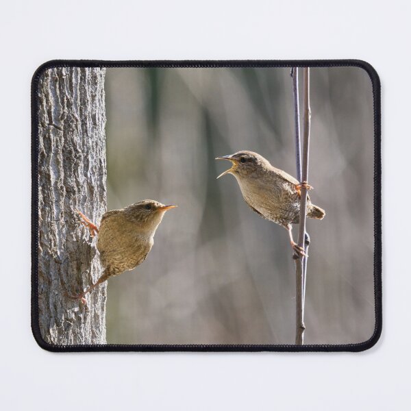 Item preview, Eurasian wren spring montage designed and sold by Jouko Lehto Photography.