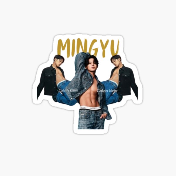 Artikel-Vorschau von Mingyu – K-Pop Fanart inspiriert von SEVENTEEN, designt und verkauft von TooPerfectForYou.