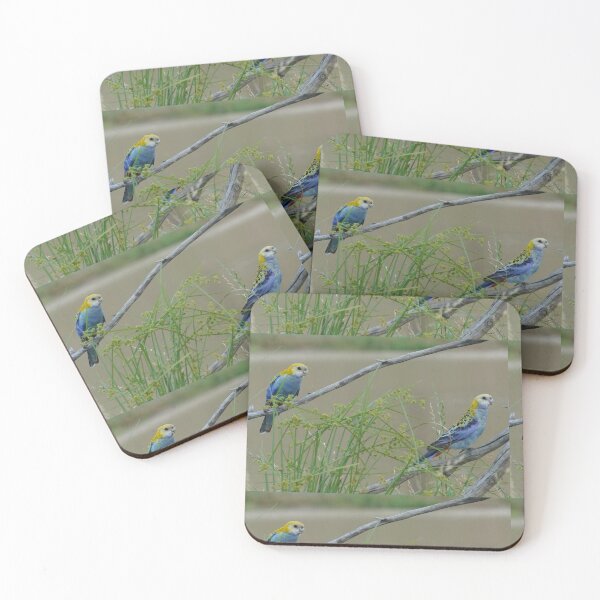 Item preview, Pale-Headed Rossellas at Waddananggu - Bird Paradise designed and sold by Sunny Hungerford Photography.