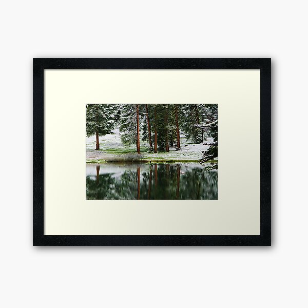 Reflections at Montecito Lake Framed Art Print