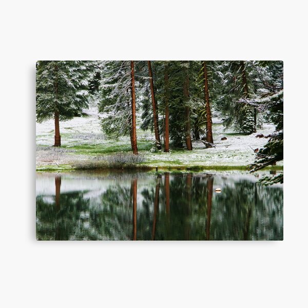 Reflections at Montecito Lake Canvas Print