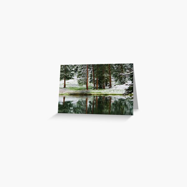 Reflections at Montecito Lake Greeting Card