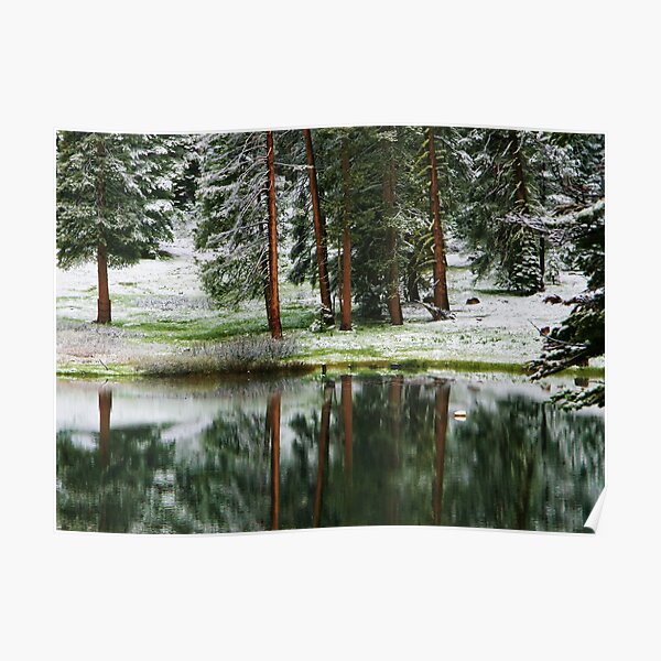 Reflections at Montecito Lake Poster