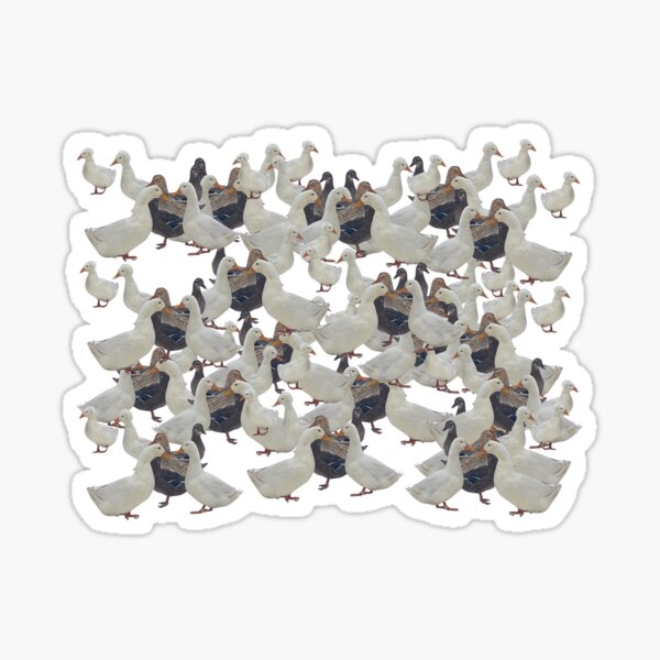 Item preview, A Giant Flock of Ducks designed and sold by homesteadschool.