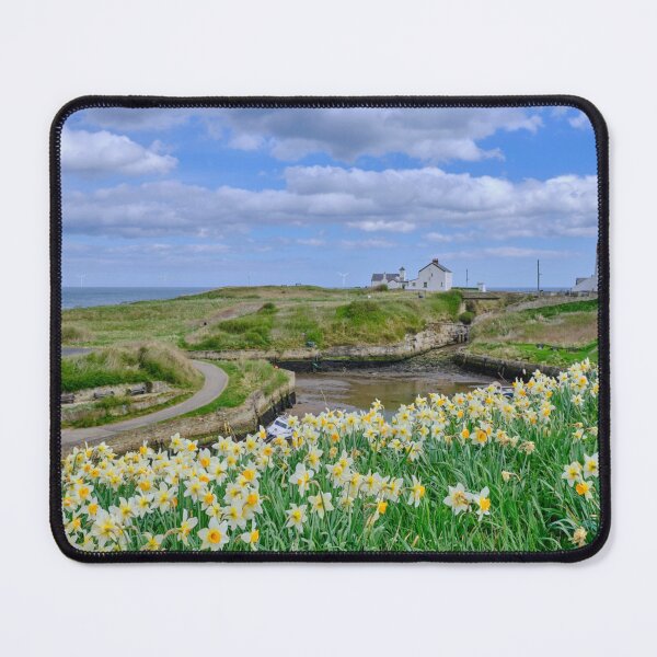 Item preview, Spring Flowers at Seaton Sluice Harbour designed and sold by Violaman.