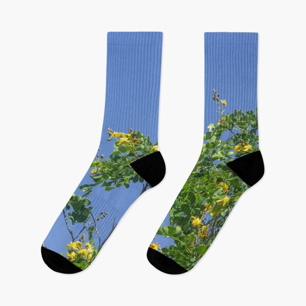 Item preview, plants with yellow flowers designed and sold by felipequeiroz.