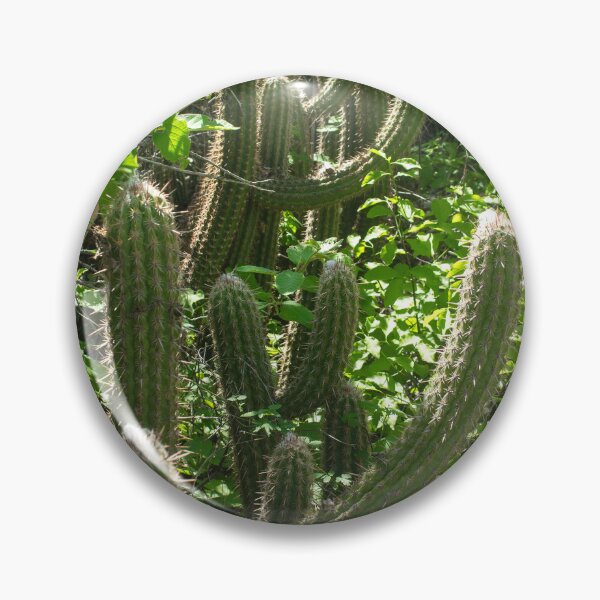 Item preview, various cacti in nature designed and sold by felipequeiroz.
