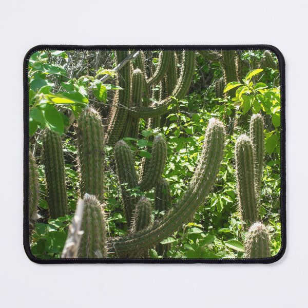 Item preview, various cacti in nature designed and sold by felipequeiroz.