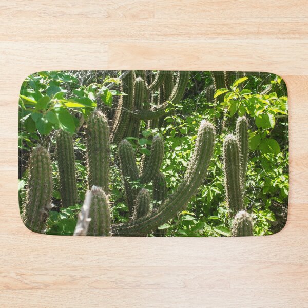 Item preview, various cacti in nature designed and sold by felipequeiroz.