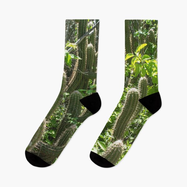 Item preview, various cacti in nature designed and sold by felipequeiroz.