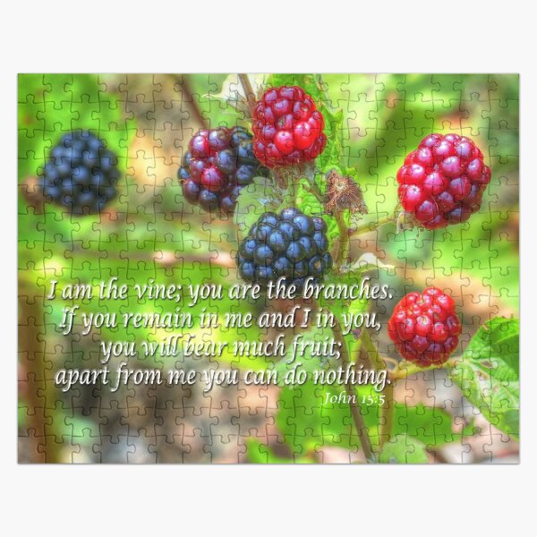Item preview, John 15:5 designed and sold by Frankie Cat Photography.