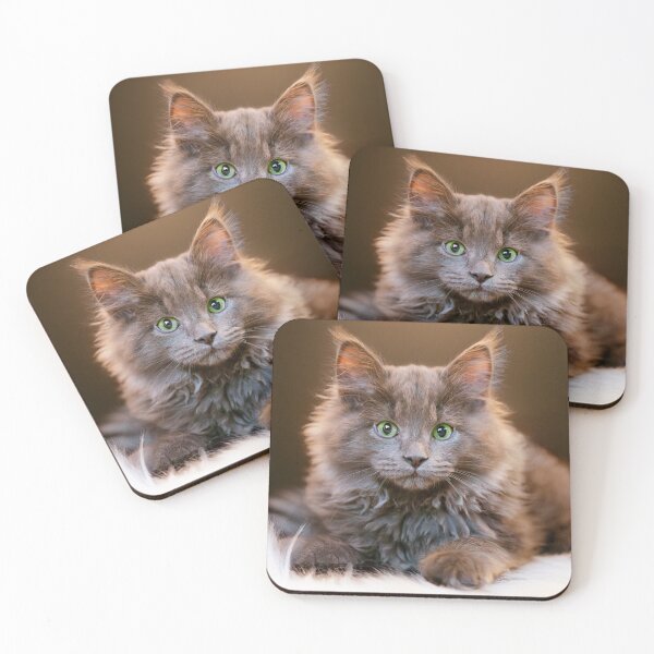 Item preview, Beautiful Gray Kitten designed and sold by Bettie-Scott.