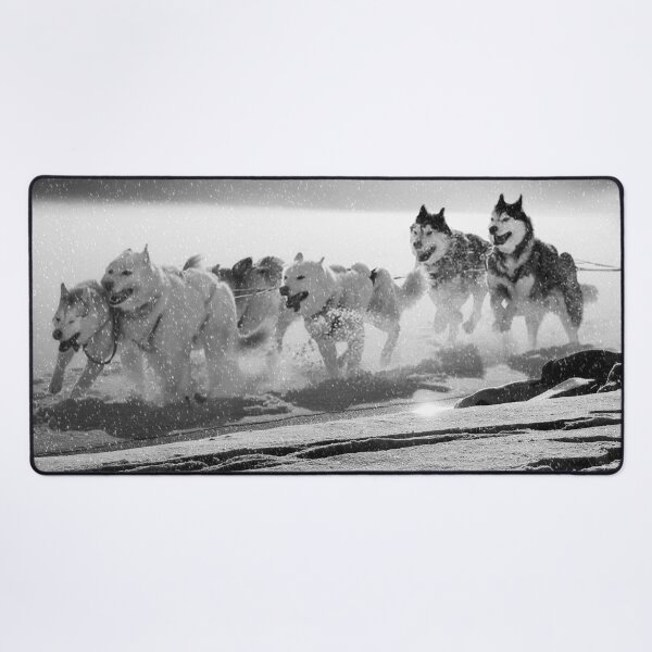 Item preview, Vintage Arctic Sled Dogs Battling the Blizzard – Malamute & Husky Team Powering Through History designed and sold by Daniel Hagerman.