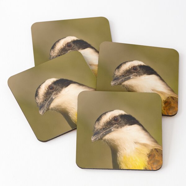 Item preview, Hesitant Great Kiskadee designed and sold by Debra Martz.