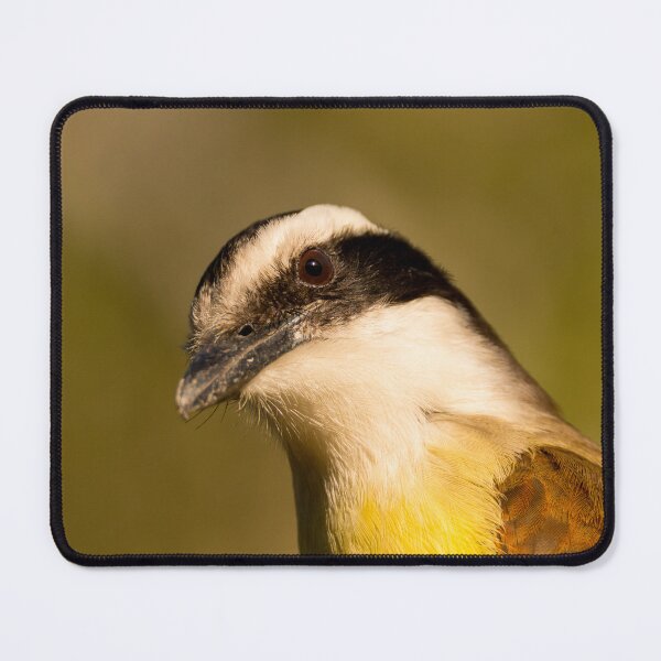 Item preview, Hesitant Great Kiskadee designed and sold by Debra Martz.