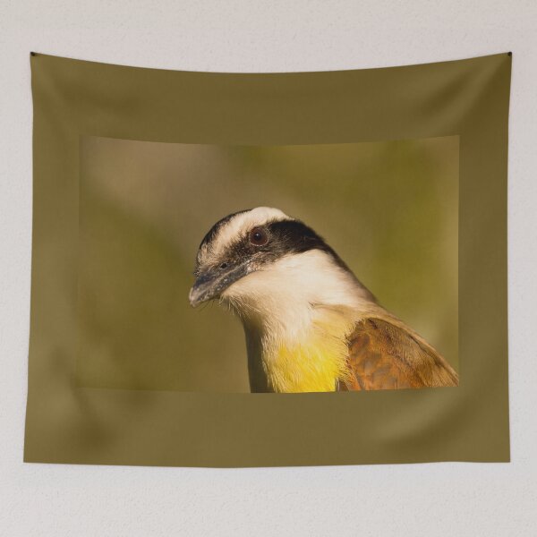 Item preview, Hesitant Great Kiskadee designed and sold by Debra Martz.