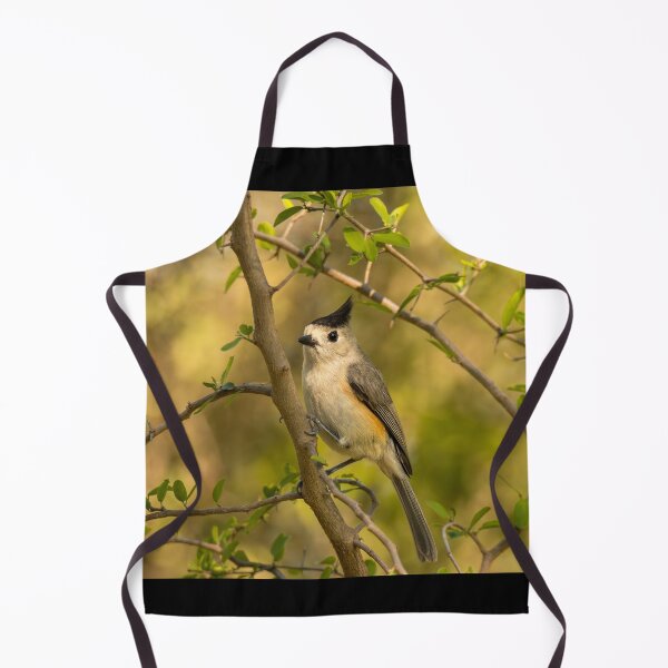 Item preview, Cute Posing Black Crested Titmouse designed and sold by Debra Martz.