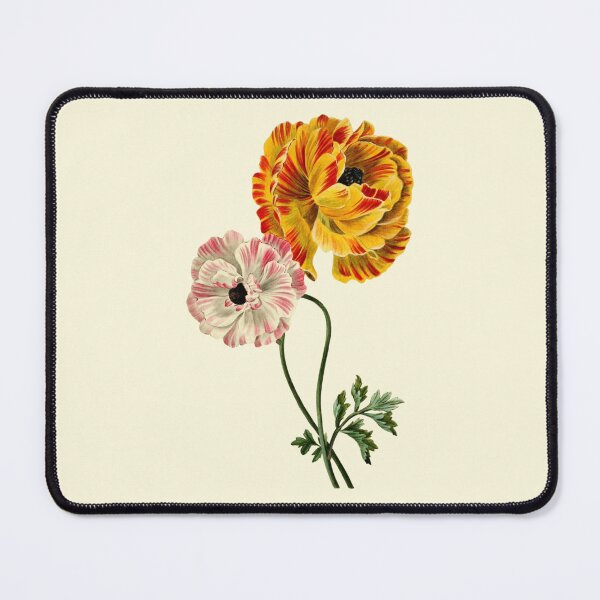 Item preview, Antique Vibrant Ranunculus Asiaticus Flowers designed and sold by IrisAndIvy.