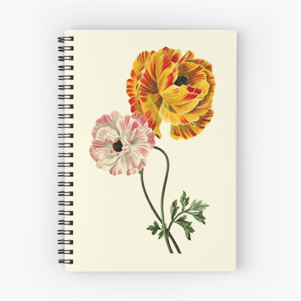 Item preview, Antique Vibrant Ranunculus Asiaticus Flowers designed and sold by IrisAndIvy.