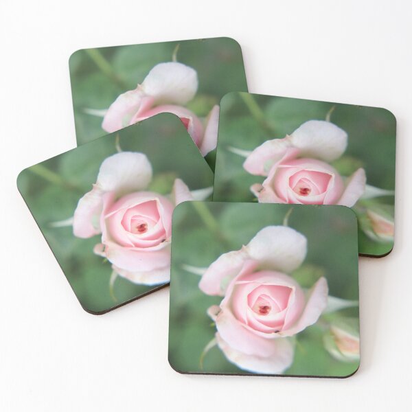 Item preview, The rose designed and sold by Astrid de Cock.
