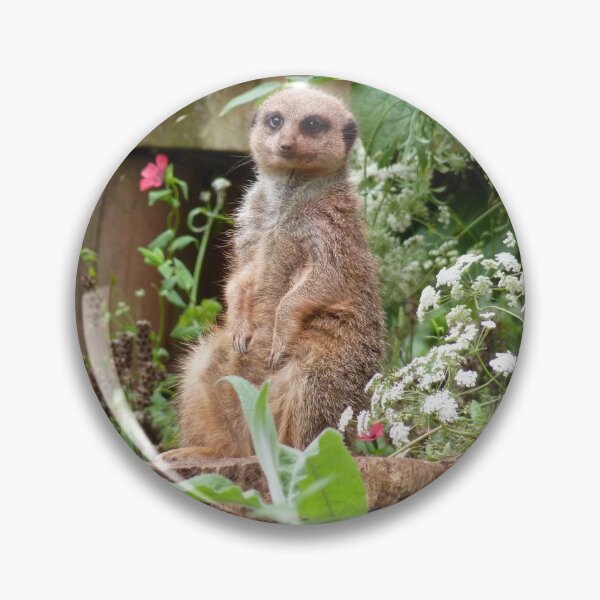 Item preview, Meerkat Chill designed and sold by Fearless-Fox.