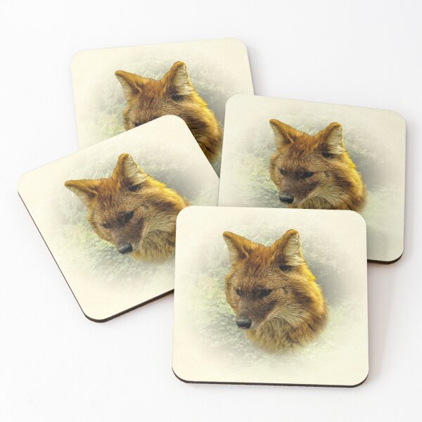 Item preview, Dhole-Asian Wild Dog designed and sold by Guardi71.