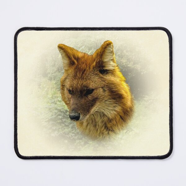 Item preview, Dhole-Asian Wild Dog designed and sold by Guardi71.