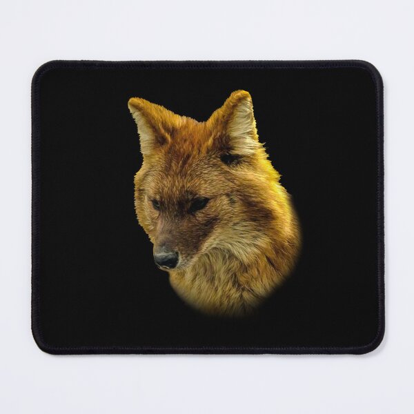 Item preview, Dhole-Asian Wild Dog designed and sold by Guardi71.