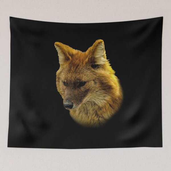 Item preview, Dhole-Asian Wild Dog designed and sold by Guardi71.