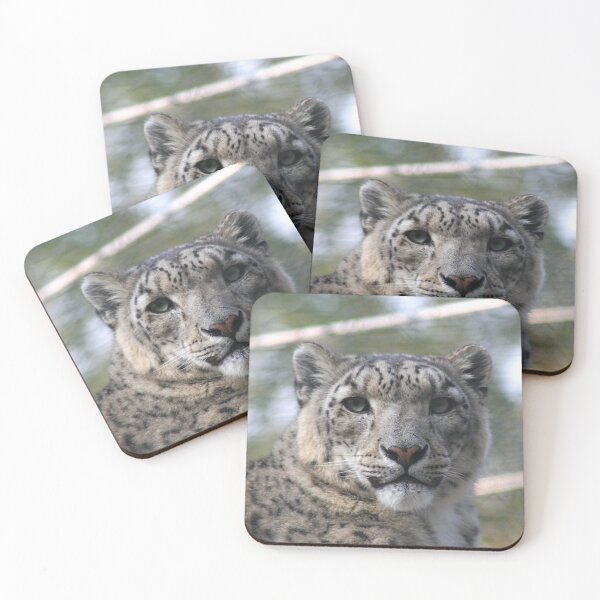 Item preview, Snow Leopard Stare designed and sold by Fearless-Fox.
