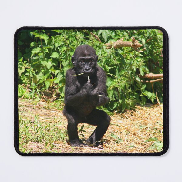 Item preview, Gorgeous Gorilla designed and sold by Fearless-Fox.