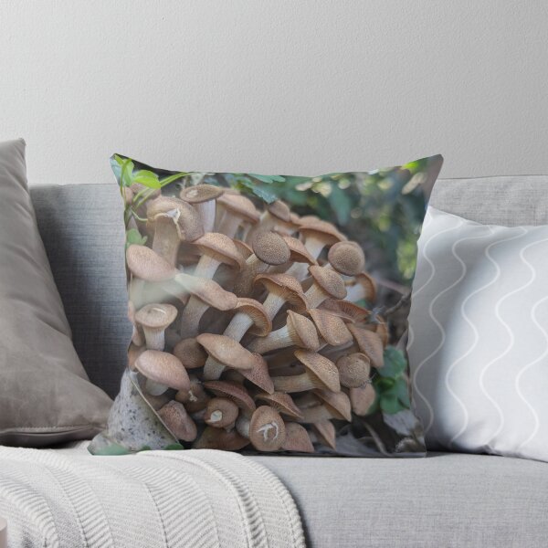 Item preview, Physalacriaceae Mushrooms designed and sold by Gaasuba.