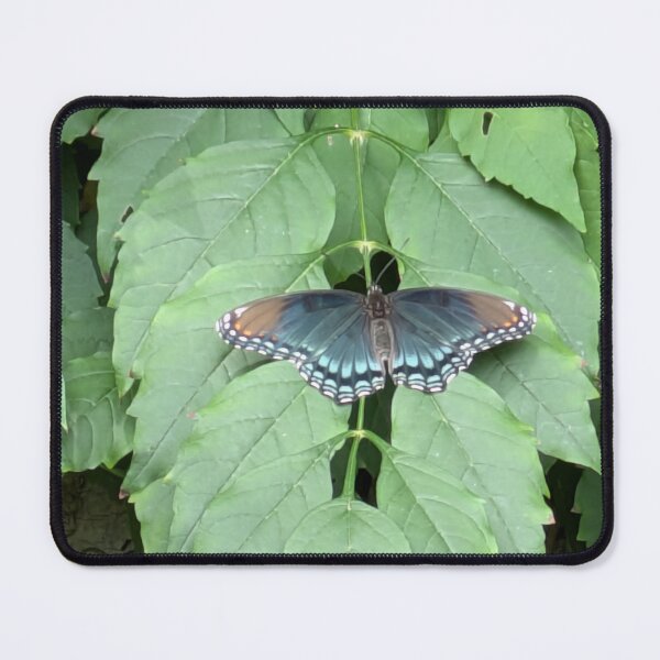 Item preview, Butterfly on Leaves designed and sold by Gaasuba.