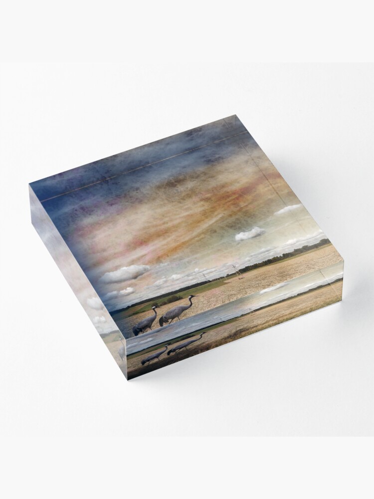 Alternate view of Two Cranes Acrylic Block